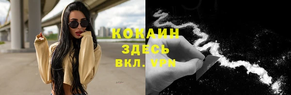 PSILOCYBIN Иннополис