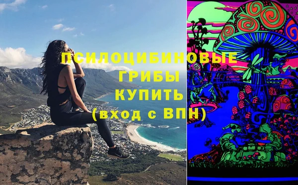 MDMA Premium VHQ Инта