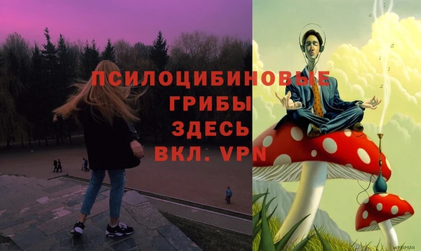 бошки Инсар