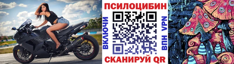 MEGA сайт  где купить   Малмыж  Галлюциногенные грибы Cubensis 